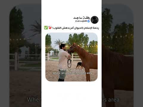 حتى وجه الحيوان نهى النبي ﷺ عن ضربه! 🥹🐎