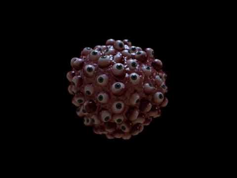 ₆⁶₆ RVPIST - THEYLETMEGO ₆⁶₆