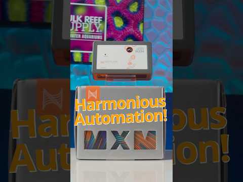 What Can You Do With a MXM?