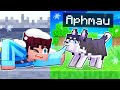 Playing As A BRAVE Husky In Minecraft!