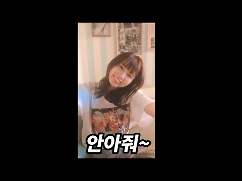아이콘