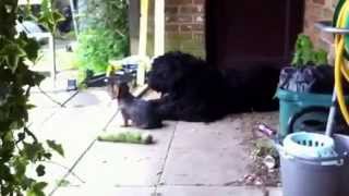 I'll be right here....!