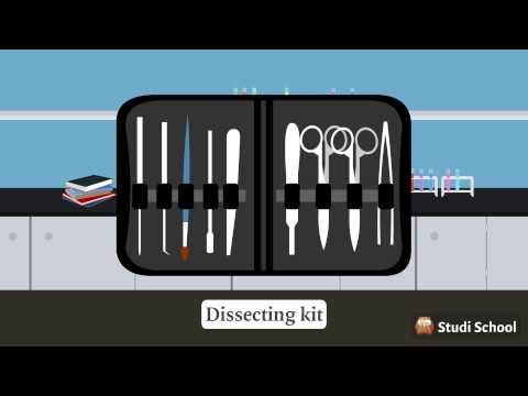 The Biology Laboratory (Biology)