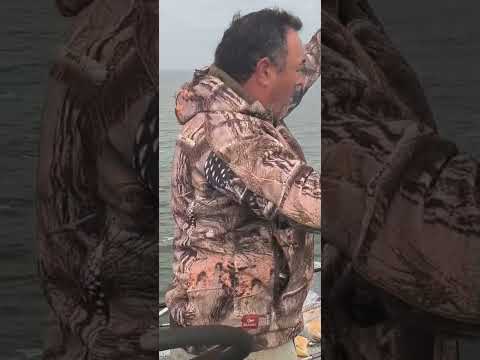 SERVICIO DE LUJO EN GUAMINÍ.#pesca #fishing #pejerrey #laguna #fish