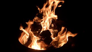 Teeth in the Grass by Iron &amp; Wine (une reprise acoustique)