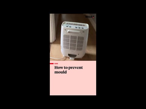 Do THIS to stop mould in your house - Which?