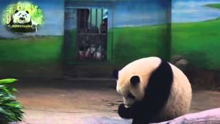 [問卦] 吃甘蔗有辦法不吐渣嗎