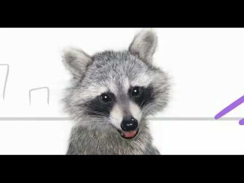 download lagu mp3 mp4 Panda Hut, download lagu Panda Hut gratis, unduh video klip Download Panda Hut Mp3 dan Mp4 Music Gratis