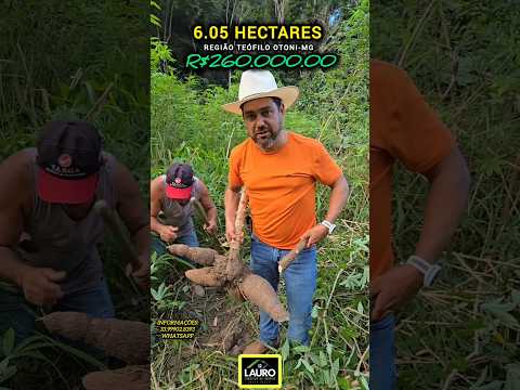 🌾🌿 OPORTUNIDADE ÚNICA SÍTIO COMPLETO A 20KM DA CIDADE TEÓFILO OTONI-MG 260 mil reais 🌿🌾
