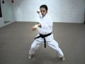 Basic Shotokan Karate Blocks