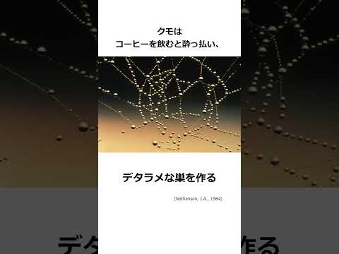 中心虫科 - 定義