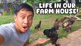 A Week at Our Farm House🐓🐐🦜🦎🐇🌳🌿 | Vlog #1749
