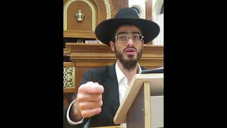 מה ההבדל בין ספק דרבנן לקולא לבין ספק ברכות להקל - הרב ינון עובדיה ברכה (הרב ינון עובדיה ברכה) - התמונה מוצגת ישירות מתוך אתר האינטרנט יוטיוב. זכויות היוצרים בתמונה שייכות ליוצרה. קישור קרדיט למקור התוכן נמצא בתוך דף הסרטון מה ההבדל בין ספק דרבנן לקולא לבין ספק ברכות להקל - הרב ינון עובדיה ברכה (הרב ינון עובדיה ברכה) - התמונה מוצגת ישירות מתוך אתר האינטרנט יוטיוב. זכויות היוצרים בתמונה שייכות ליוצרה. קישור קרדיט למקור התוכן נמצא בתוך דף הסרטון