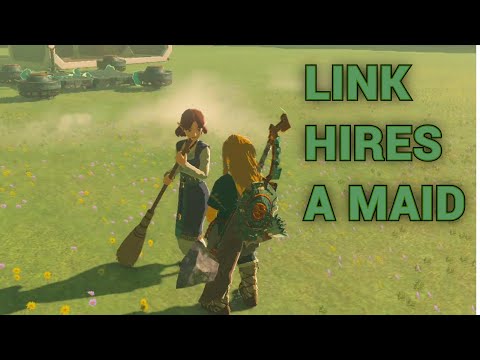 Link gets a Maid!!