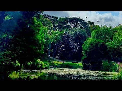 Stunning Drone Footage of Alexandra Park, Hastings in 4K 🌳 | A Peaceful Escape in England