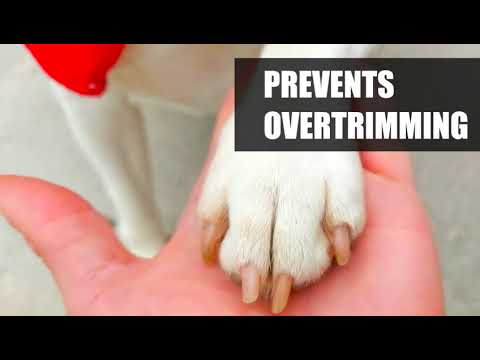 Pet Nail Clippers with Nail File - Second Medium