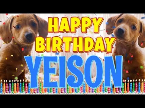 Happy Birthday Yeison! ( Funny Talking Dogs ) What Is Free On My Birthday