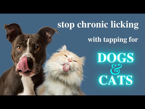 Stop Chronic Licking With Tapping --for Cats and Dogs