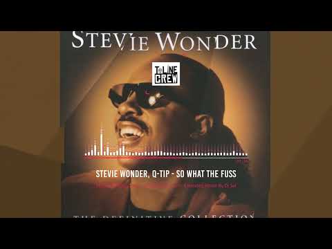 Stevie Wonder, Q Tip   So What The Fuss   Extended Remix By Dj Sal Part 1 #1million #fyp #music