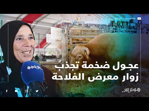 "الكسّابة" يعرضون أبقارهم "معرض الفلاحة" بمكناس وسط انبهار الزوار