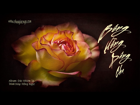 Bông hồng dâng Cha