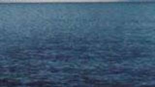 &quot;We Can Have It&quot;