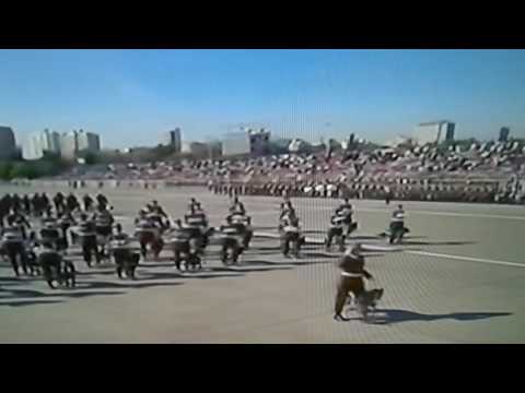 Gran parada militar 2016