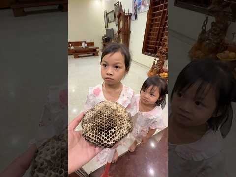 Để Mẹ Bắt Con Ong Cho Mà Xem...!