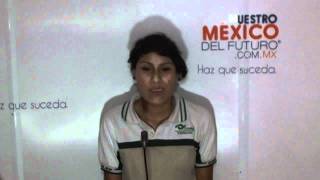 Liliana Torres Torres / Centro / Orizaba Veracruz  R-2
