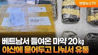 베트남서 들여온 마약 20㎏ 야산에 묻어두고 나눠서 유통 / 연합뉴스TV (YonhapnewsTV)