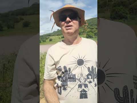 LAGOA DE SÃO TIMÓTEO LIVRAMENTO DE NOSSA SENHORA-BA #sertãobahia #chuvasnonordeste  #chuvasnosertão