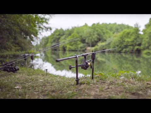 Karpfenangeln an einem unbekannten Fluss. | Roadtrip durch Frankreich | Folge 3
