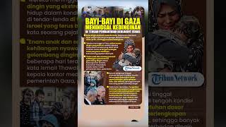 Bayi-Bayi di Gaza Meninggal Kedinginan di Tengah Pembantaian Berlanjut Israel