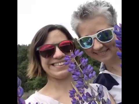 Potoczek 19 agroturystyka z klimatem na Dolnym Śląsku