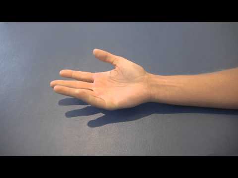 WRSIT FLEXION 01B Hand movements