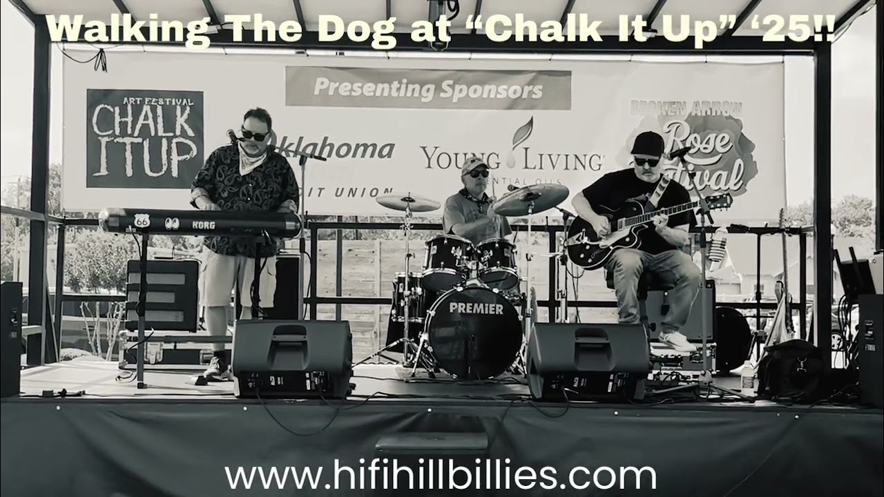 Promotional video thumbnail 2 for The Hi-Fi Hillbillies