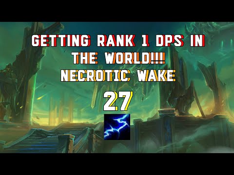 GETTING RANK 1 IN THE WORLD!!!| ELEMENTAL SHAMAN PUMP| NW 27
