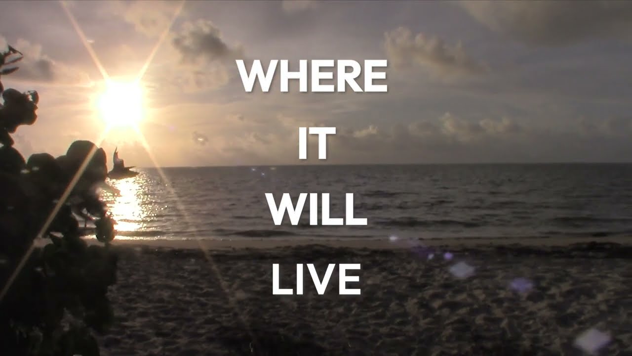 Where it Will Live Trailer