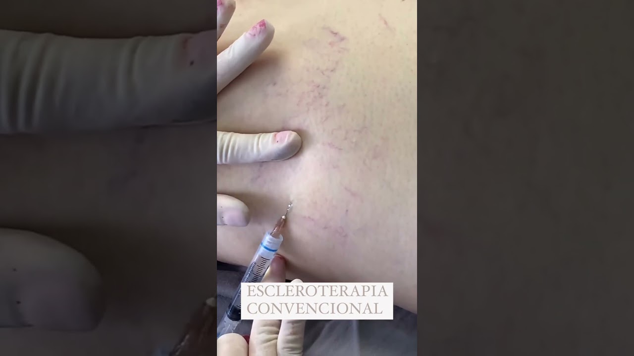 Giovanna Arze Rocha Laranjeira-3