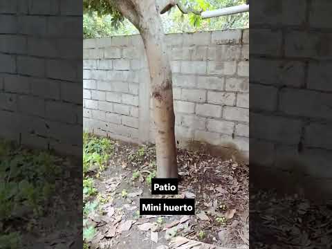 CASA EN VENTA. SAN ANTONIO - IBARRA - IMBABURA