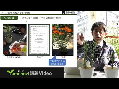 先端経営学科 【ミニ講義】バイオテクノロジーで“新しい花”を作り出す