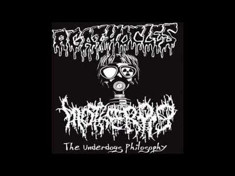 Agathocles /Motherpig - The Underdogs Philosophy - (2008) - [Full Split]