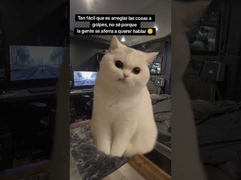 #humor #seguidores #viral 😂😂😂😂