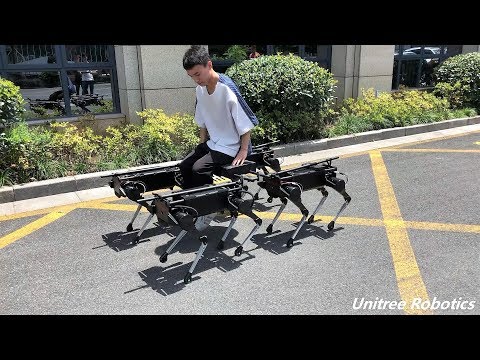 Unitree Laikago Review Video 2