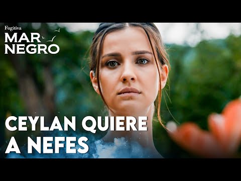Nefes descubre que Ceylan no quiere dejarla - Mar Negro | Escenas Legendarias @fugitivatv