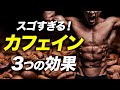 優れたサプリメント「カフェイン」の3つの効果・おすすめ摂取量・摂取タイミングを解説【ビーレジェンド プロテイン】