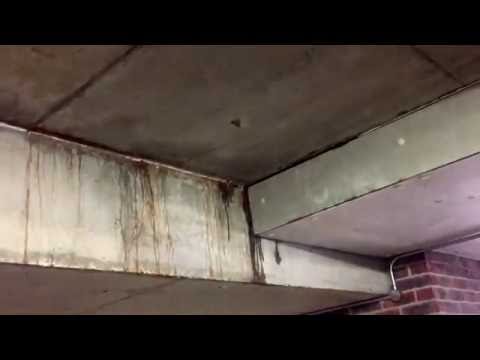 One Housing Group Fail to fix building defects and water leaks