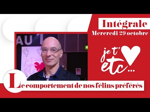 Intégrale - Sa majesté le chat - Je t’aime etc S03