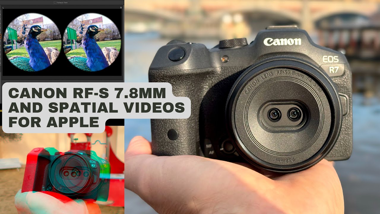 Video thumbnail for Video Review 3