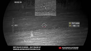 DNT ZULUS V2 RABBIT SHOOTING #hunting #nightvision